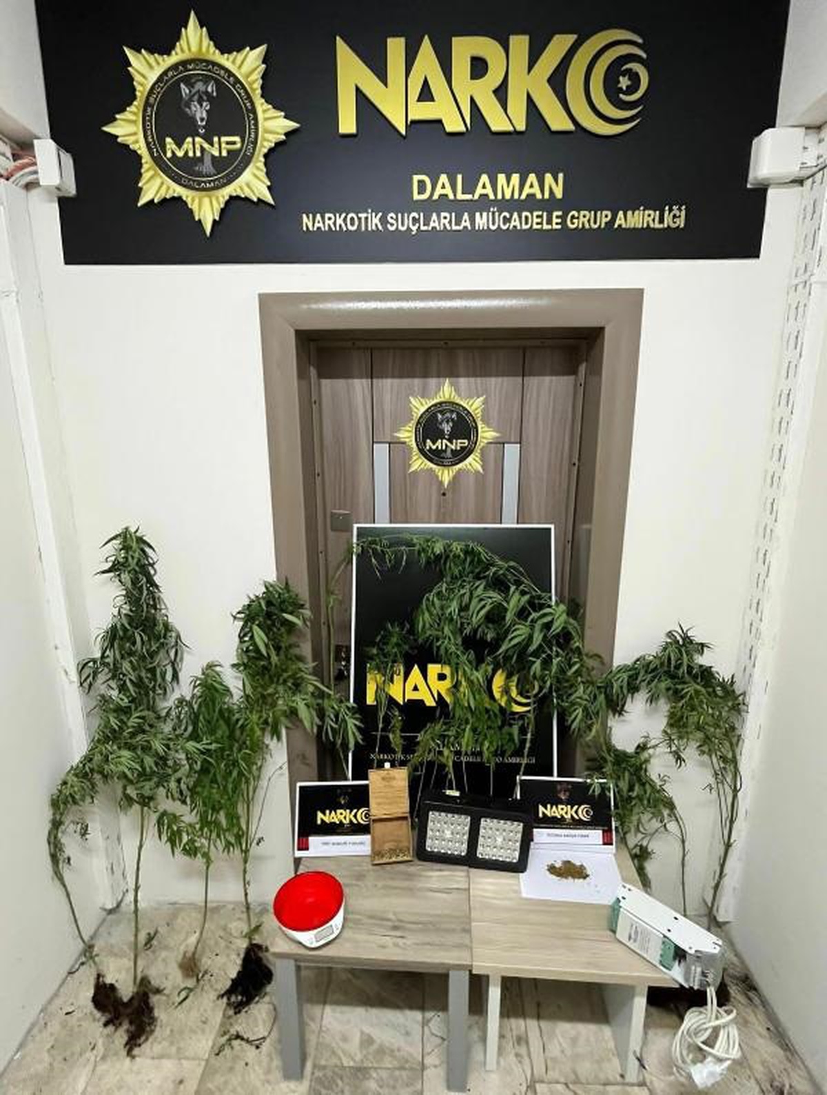 Muğla\'da Uyuşturucu Yetiştirilen Eve Operasyon