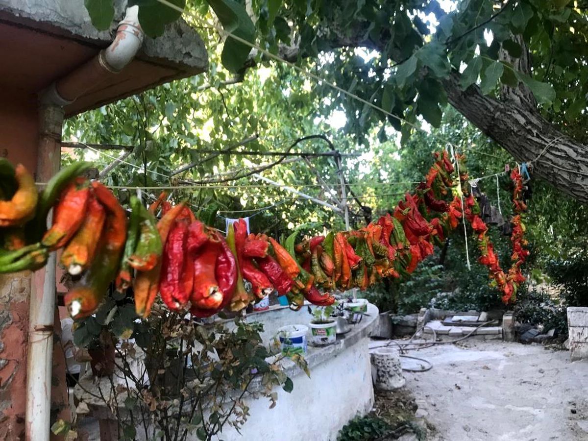 Denizli\'nin Buldan ilçesinde kışlık ürünler kurutulmaya başlandı