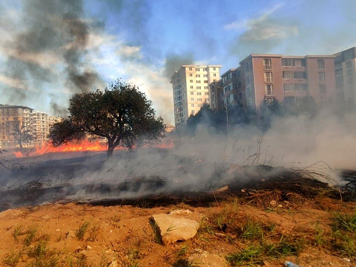 Çorlu\'da çıkan ot yangını itfaiye ekipleri tarafından söndürüldü