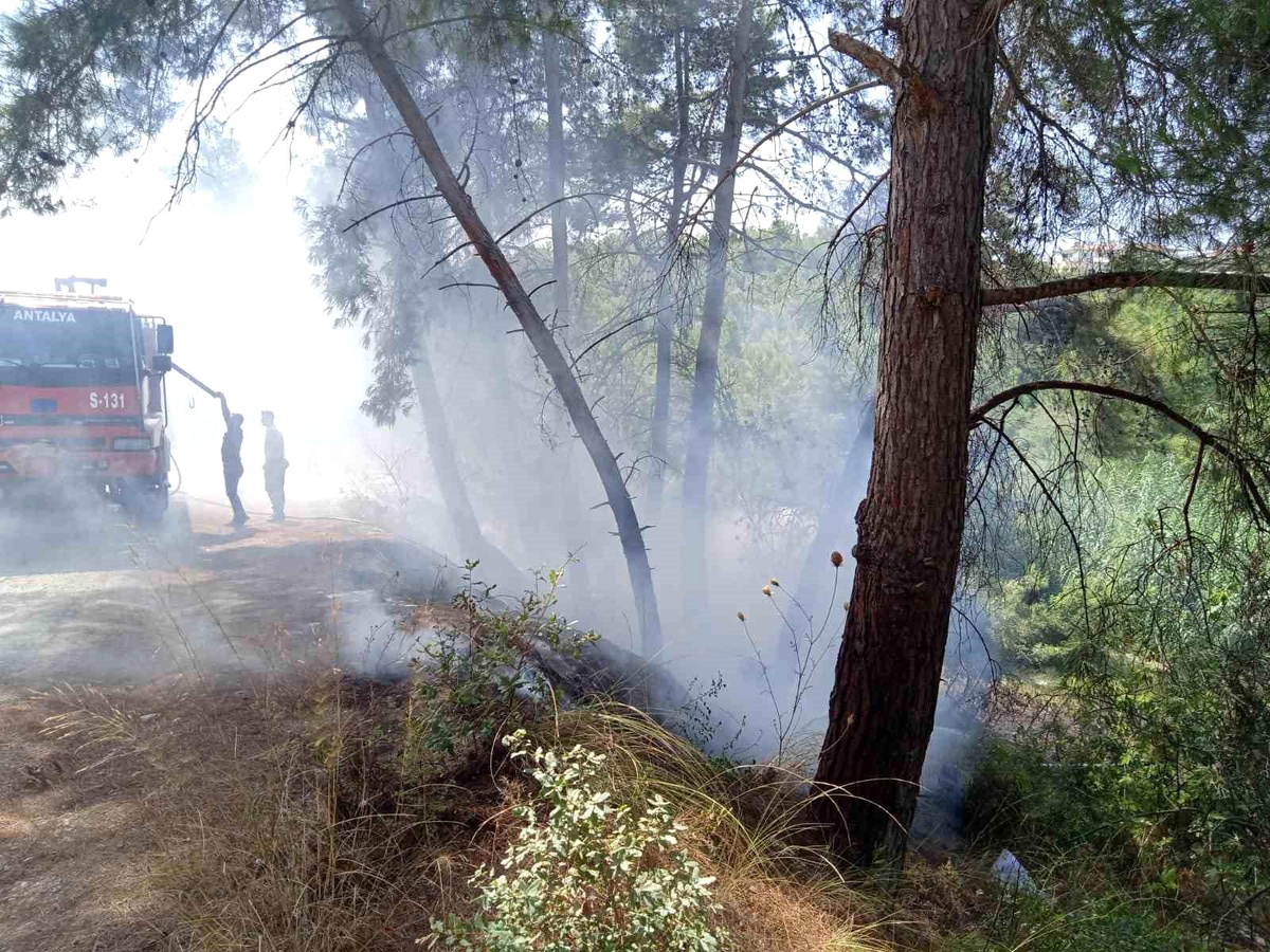 Manavgat\'ta çıkan yangınlar zamanında söndürüldü