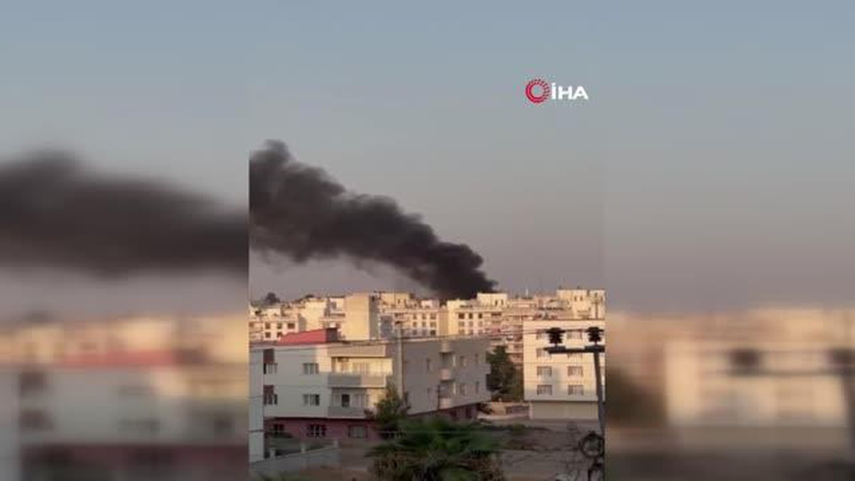 Nusaybin\'de Parkta Çıkan Yangın Söndürüldü