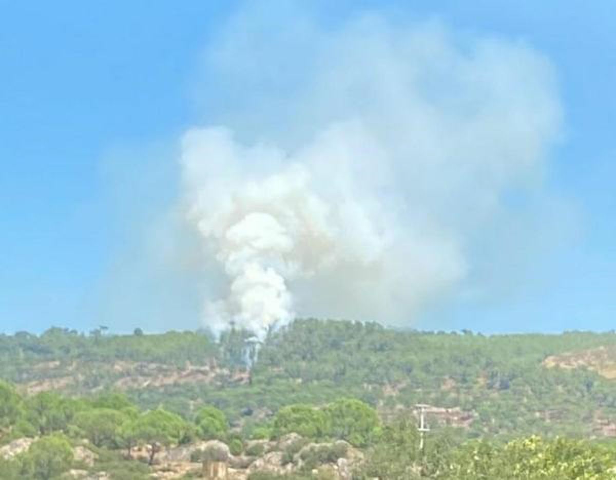 Muğla ve Aydın arasındaki ormanda yangın çıktı