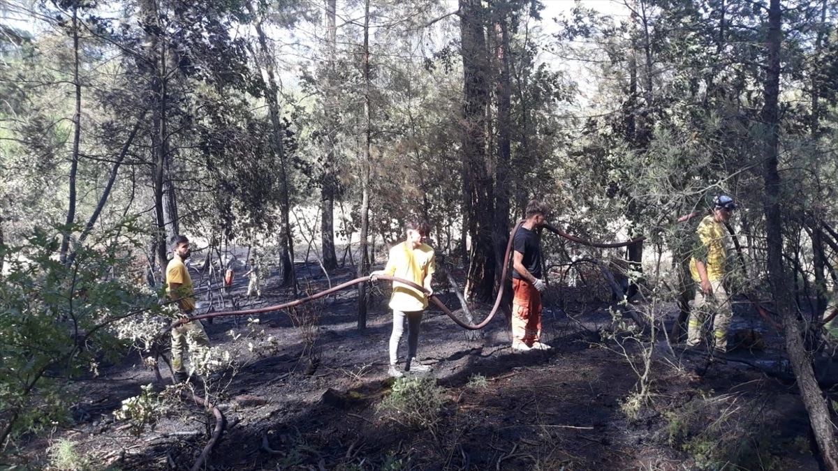 Orhaneli\'de Orman Yangını Söndürüldü