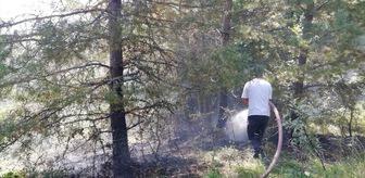 Pınarbaşı ilçesinde çıkan orman yangını söndürüldü