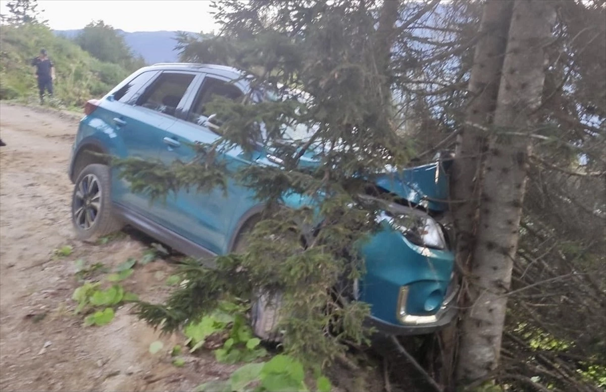 Trabzon\'da otomobil ağaçlara çarptı: 6 kişi yaralandı