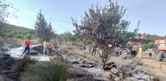 Yalova'da ahırda çıkan yangında 6 küçükbaş hayvan telef oldu