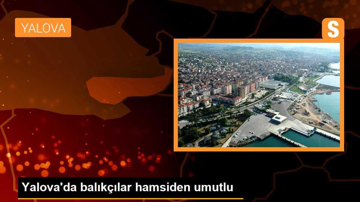 Yalova\'da balıkçılar hamsiden umutlu