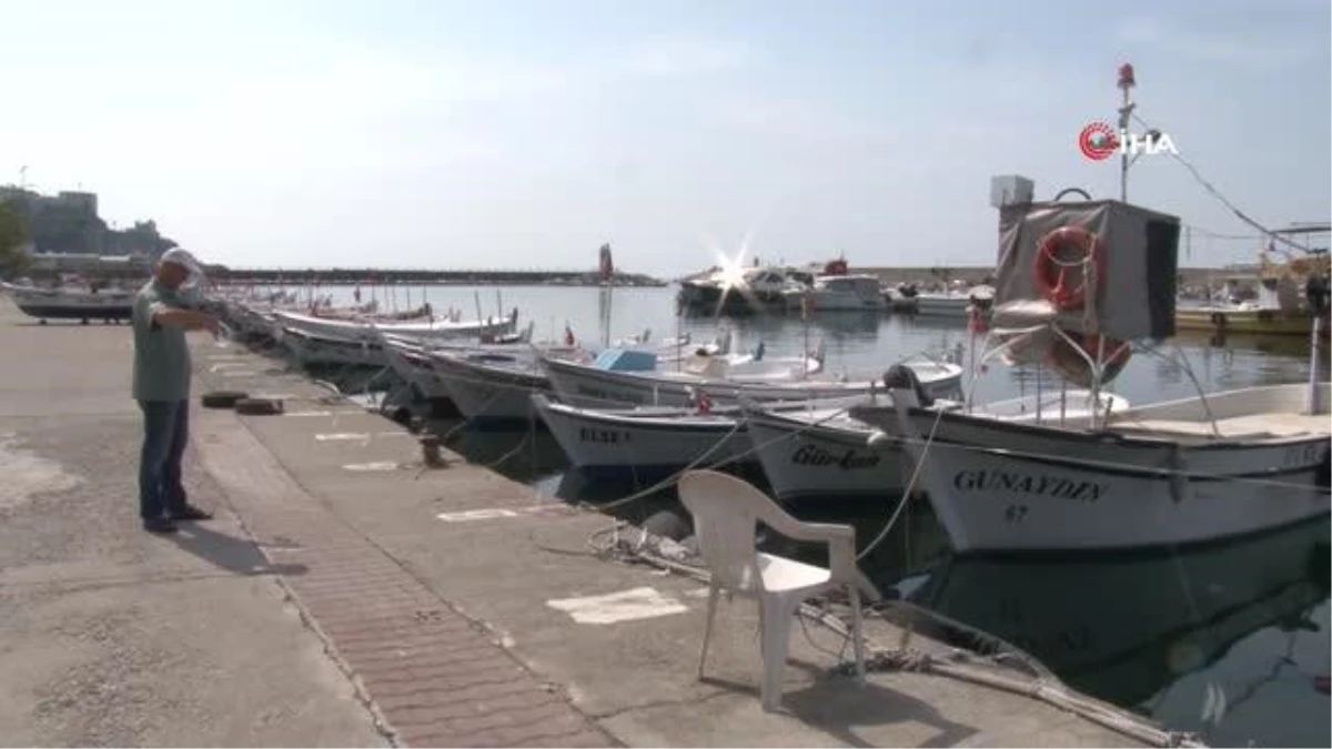 Zonguldaklı balıkçılar yeni sezonda hamsi ve lüferden ümitli