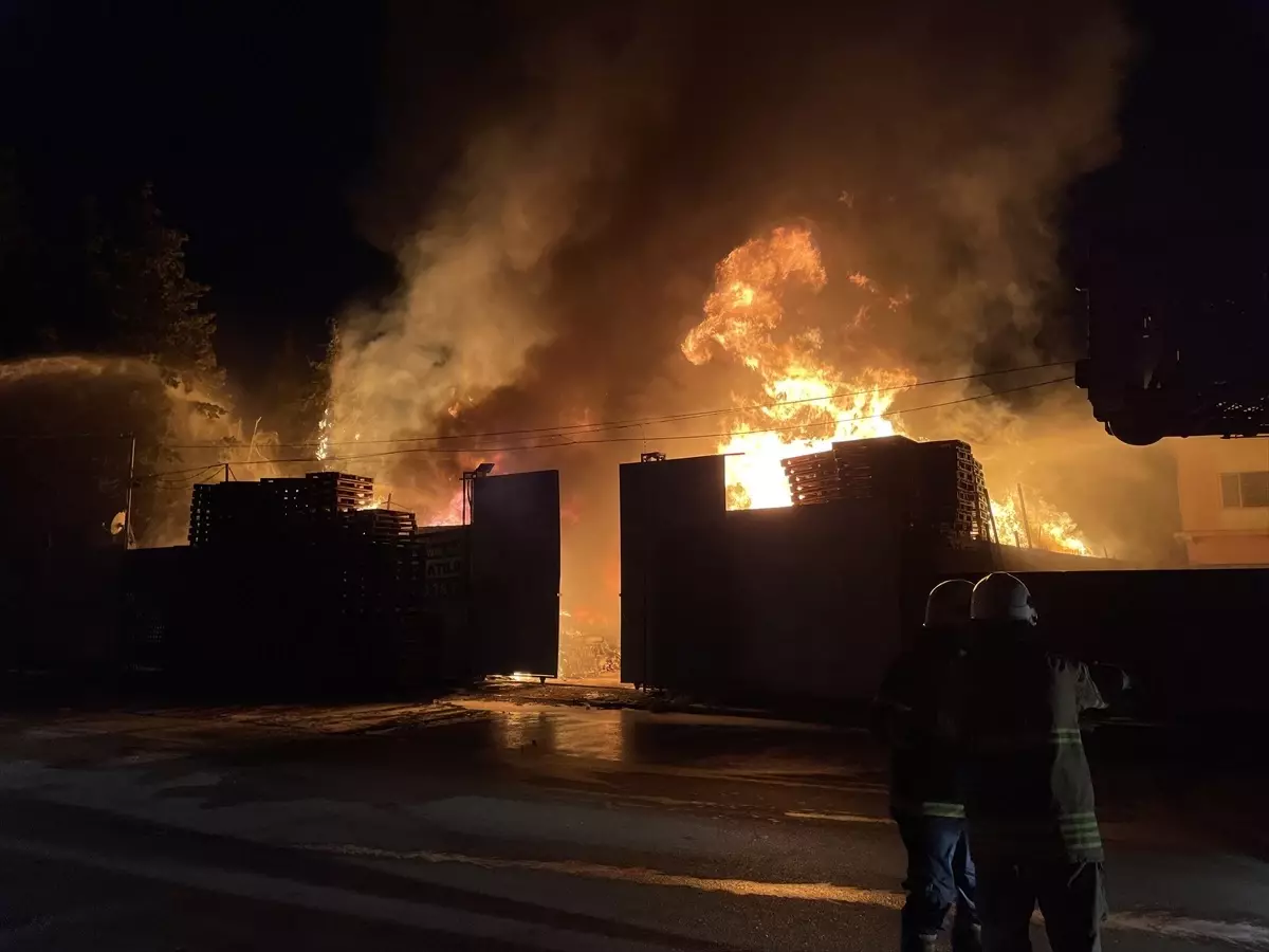 Adana\'da ahşap palet deposunda çıkan yangın söndürüldü