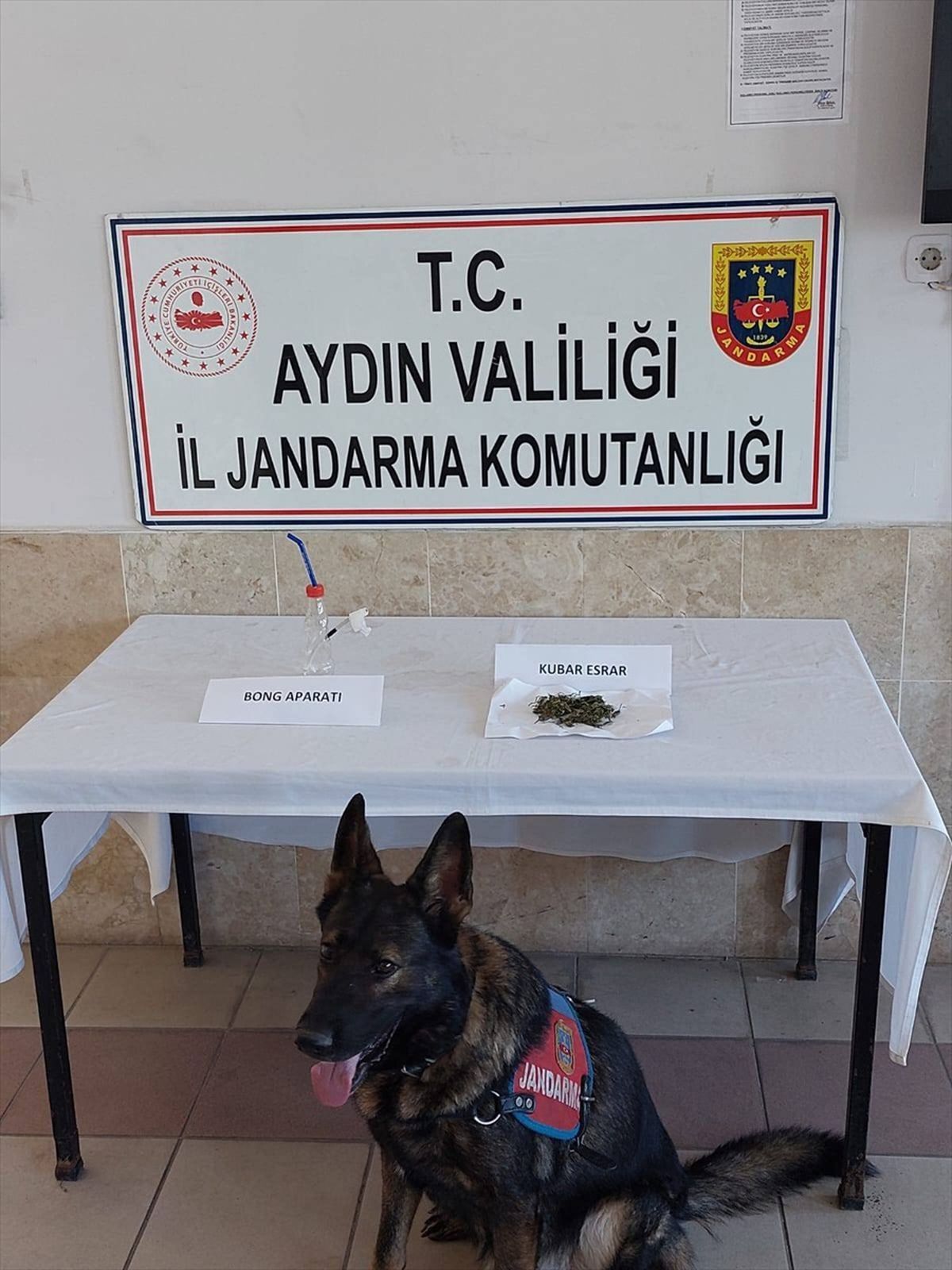 Aydın\'ın Nazilli ilçesinde uyuşturucu operasyonu: 1 zanlı gözaltına alındı