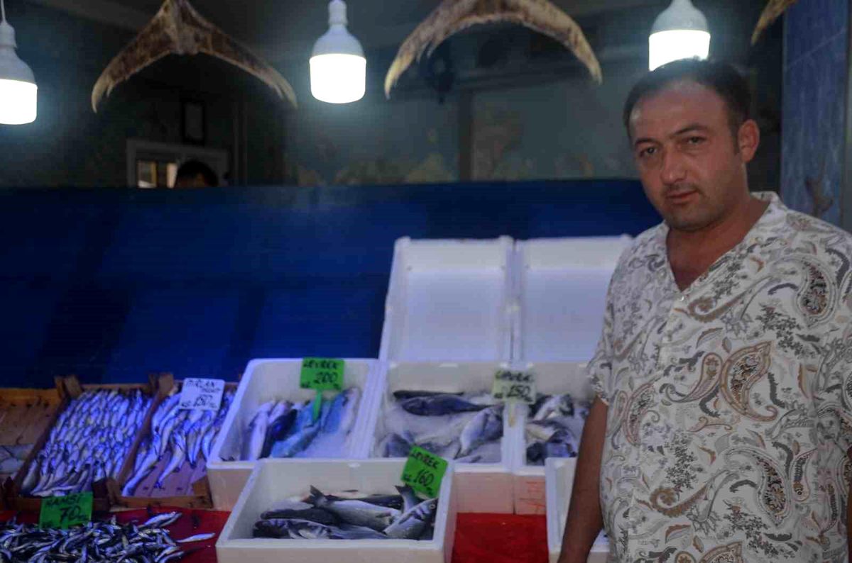 Bilecik\'te av yasağının sona ermesiyle ilk balıklar tezgahta yerini aldı