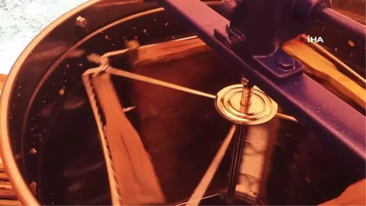 Büyükçekmece\'de ilk bal hasadı gerçekleşti