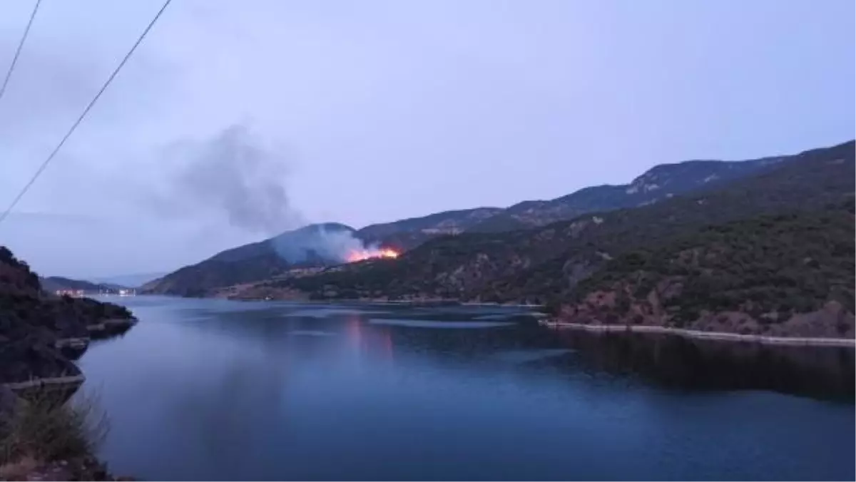 Çorum\'un Laçin ilçesinde çıkan orman yangını kontrol altına alındı