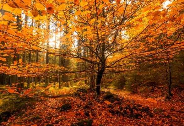 Eylül ayı sözleri: Hoş geldin Eylül ayı sözleri, Eylül ile ilgili sözler