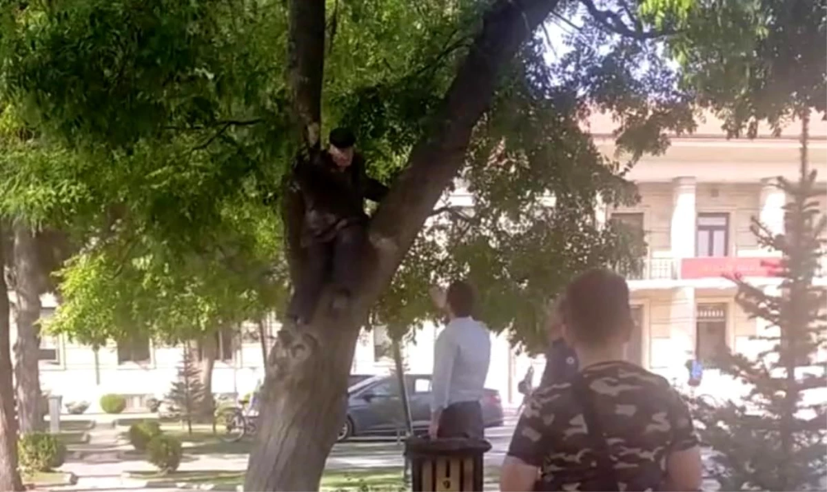 Eskişehir\'de Maaşını Alamayan Yaşlı Vatandaş Ağaca Çıkarak Eylem Yaptı