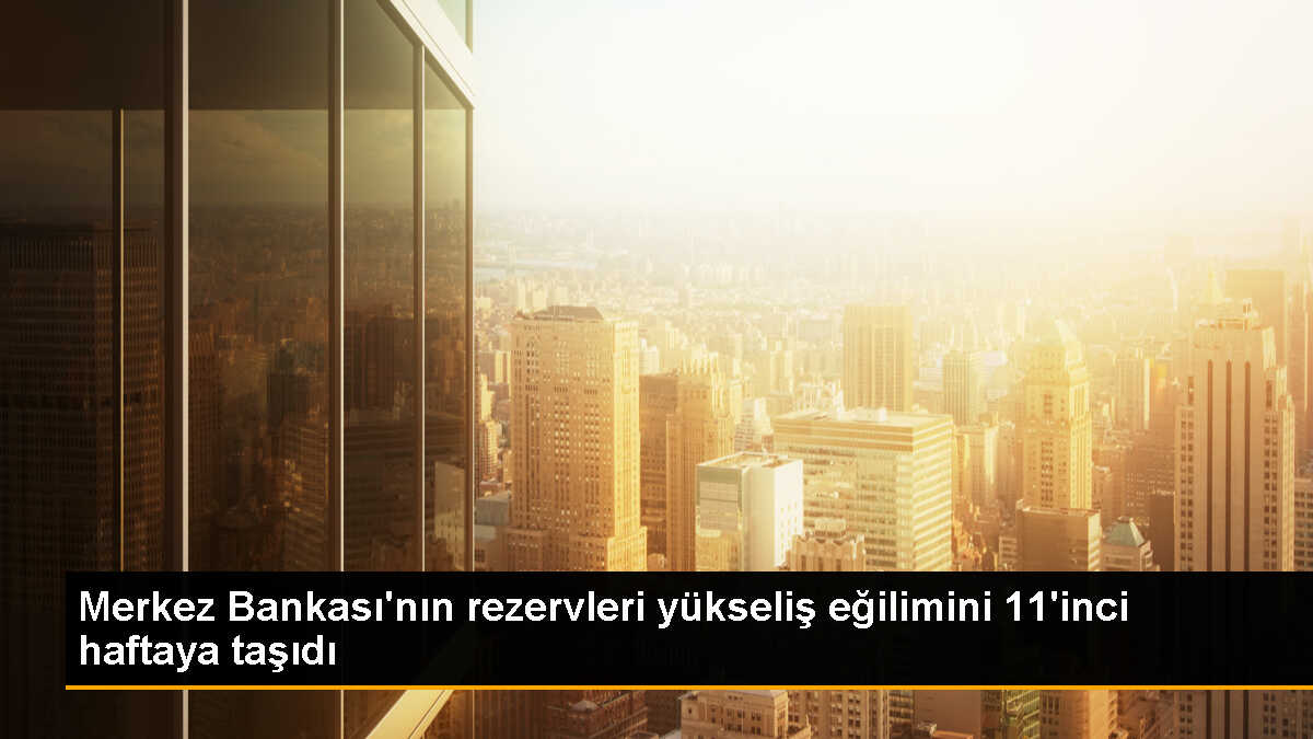 TCMB\'nin toplam rezervleri 11. haftada arttı