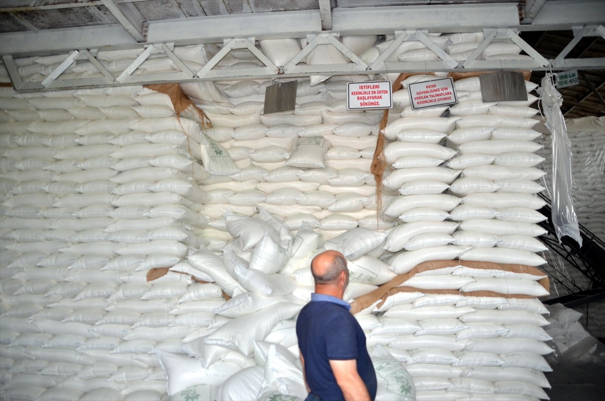 Muş\'ta Şeker Pancarı Üretimi Ekonomiye 2 Milyar 400 Milyon TL Katkı Sağlayacak