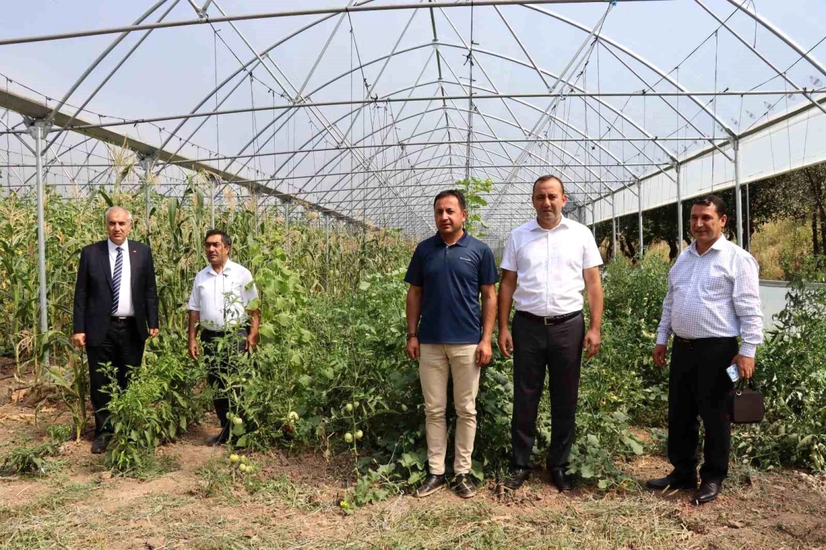 Erzurum Oltu\'da Devlet Destekli Seracılık Projesi Ürün Almaya Başlandı