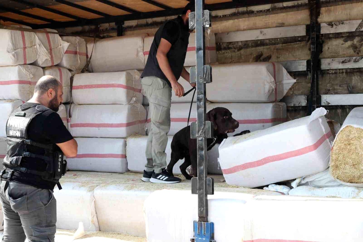 Mersin\'de Saman Yüklü Tırda Uyuşturucu ve Kaçak Sigara Ele Geçirildi