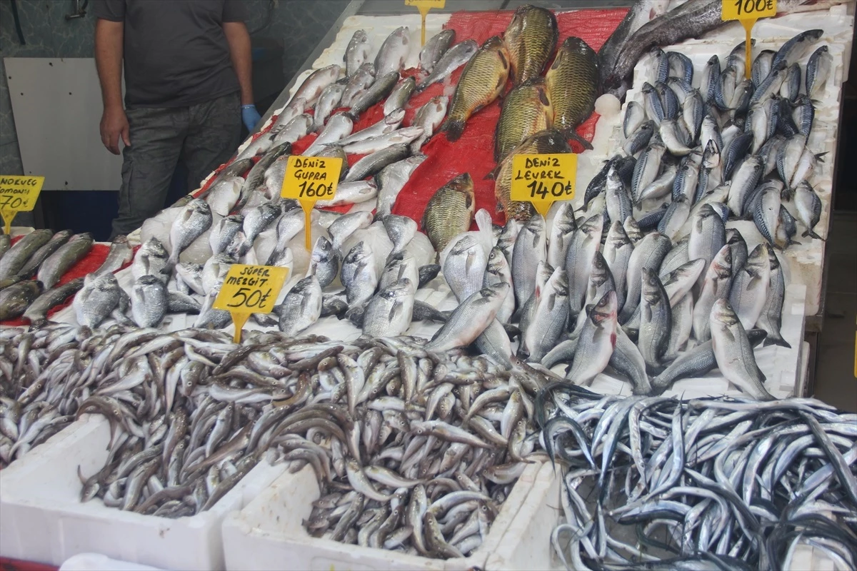 Samsun\'da Denizlerde Av Yasağı Sona Erdi, Balık Tezgahları Şenlendi