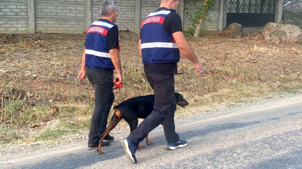 Kayıp Ekonomist Korhan Berzeg\'in Köpeği Tina Eve Döndü
