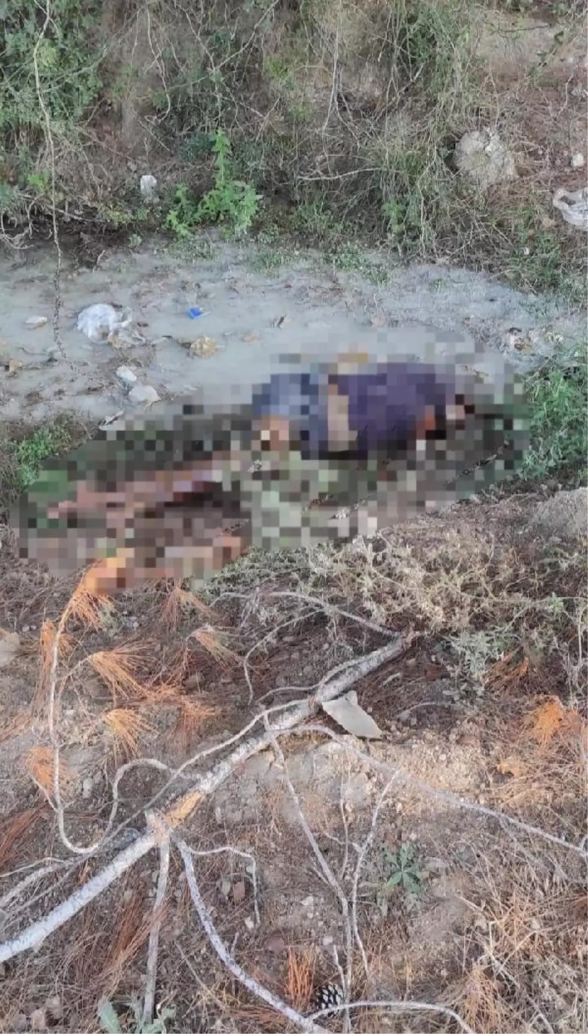 Adana'da Dere Kenarında Kadın Cesedi Bulundu