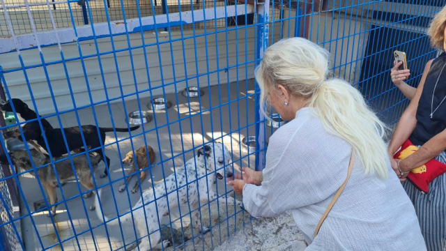 Ajda Pekkan Bodrum'da Hayvan Barınağını Ziyaret Etti