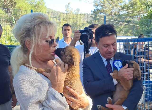 Ajda Pekkan Bodrum'da Hayvan Barınağını Ziyaret Etti