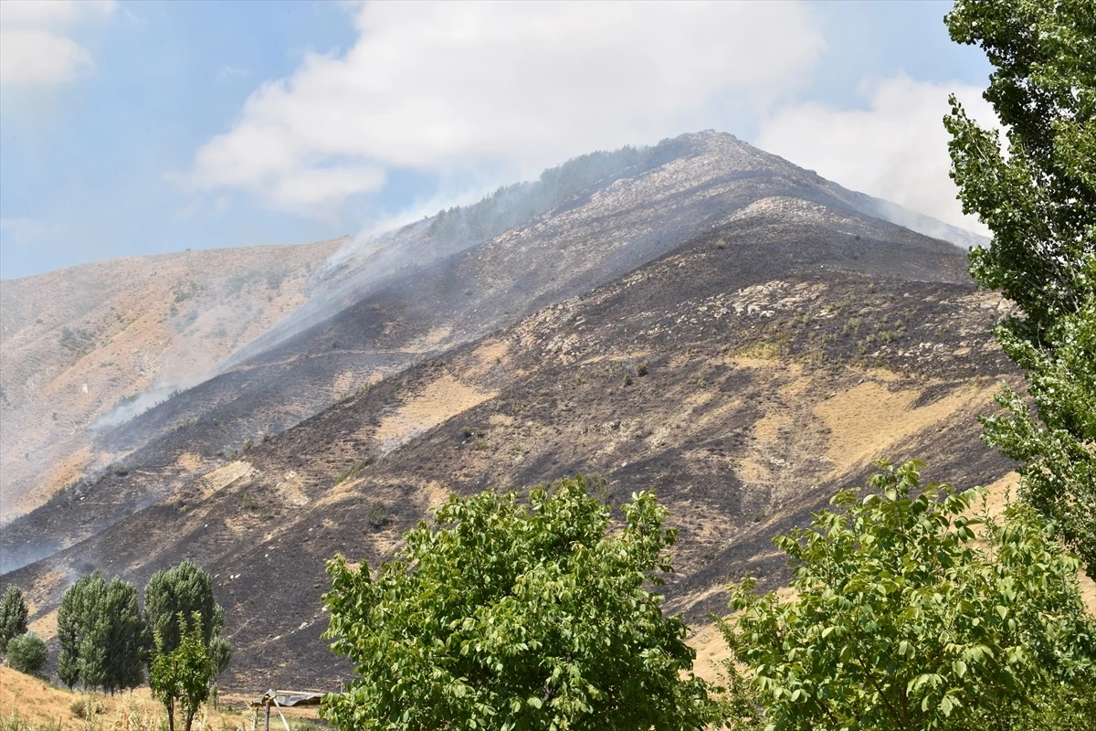 Bitlis\'te çıkan örtü yangınında 12 hektarlık alanda zarar oluştu