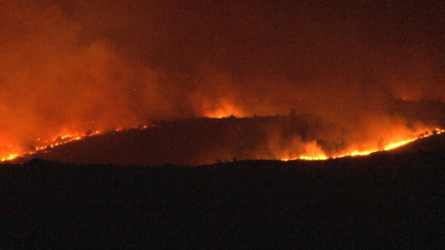 Bulgaristan'daki orman yangını Türkiye'yi tehdit etmeye başladı, ekipler sınır bölgesinde teyakkuza geçti