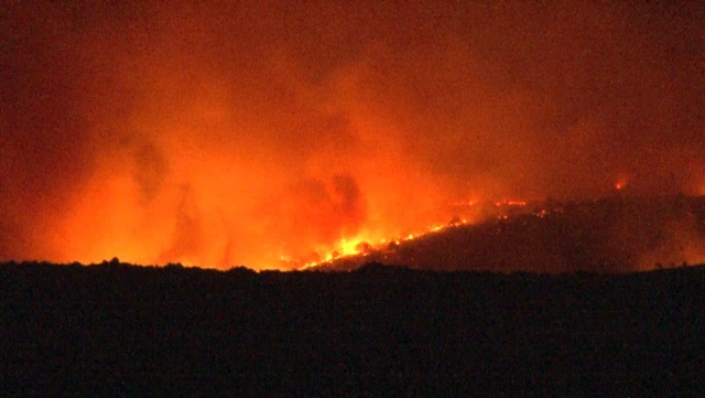 Bulgaristan'daki orman yangını Türkiye'yi tehdit etmeye başladı, ekipler sınır bölgesinde teyakkuza geçti