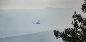 Bursa'da Orman Yangını: Karadan ve Havadan Müdahale Devam Ediyor
