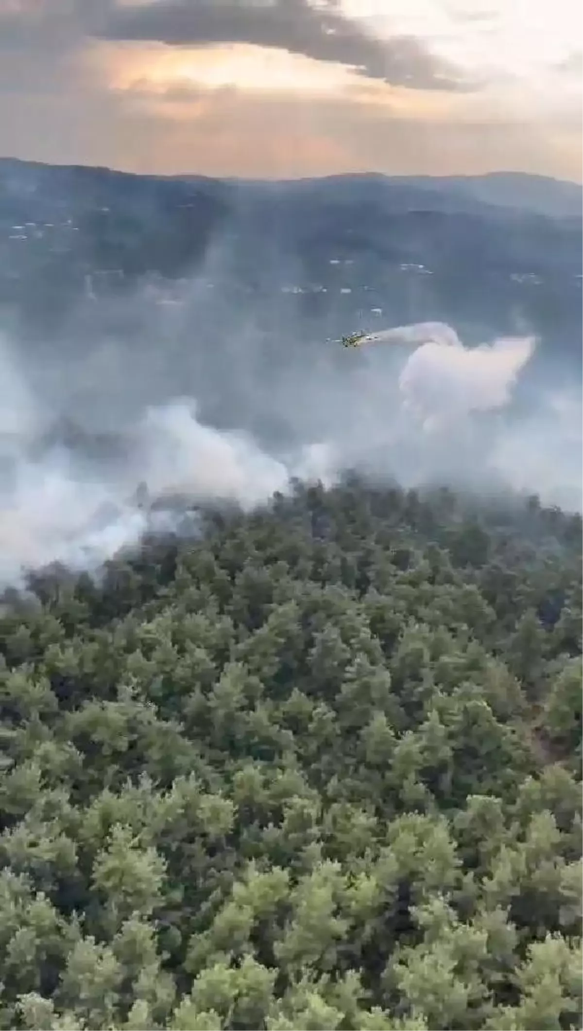 Bursa'daki Orman Yangınına 3 Gece Görüşlü Helikopter Sevk Edildi