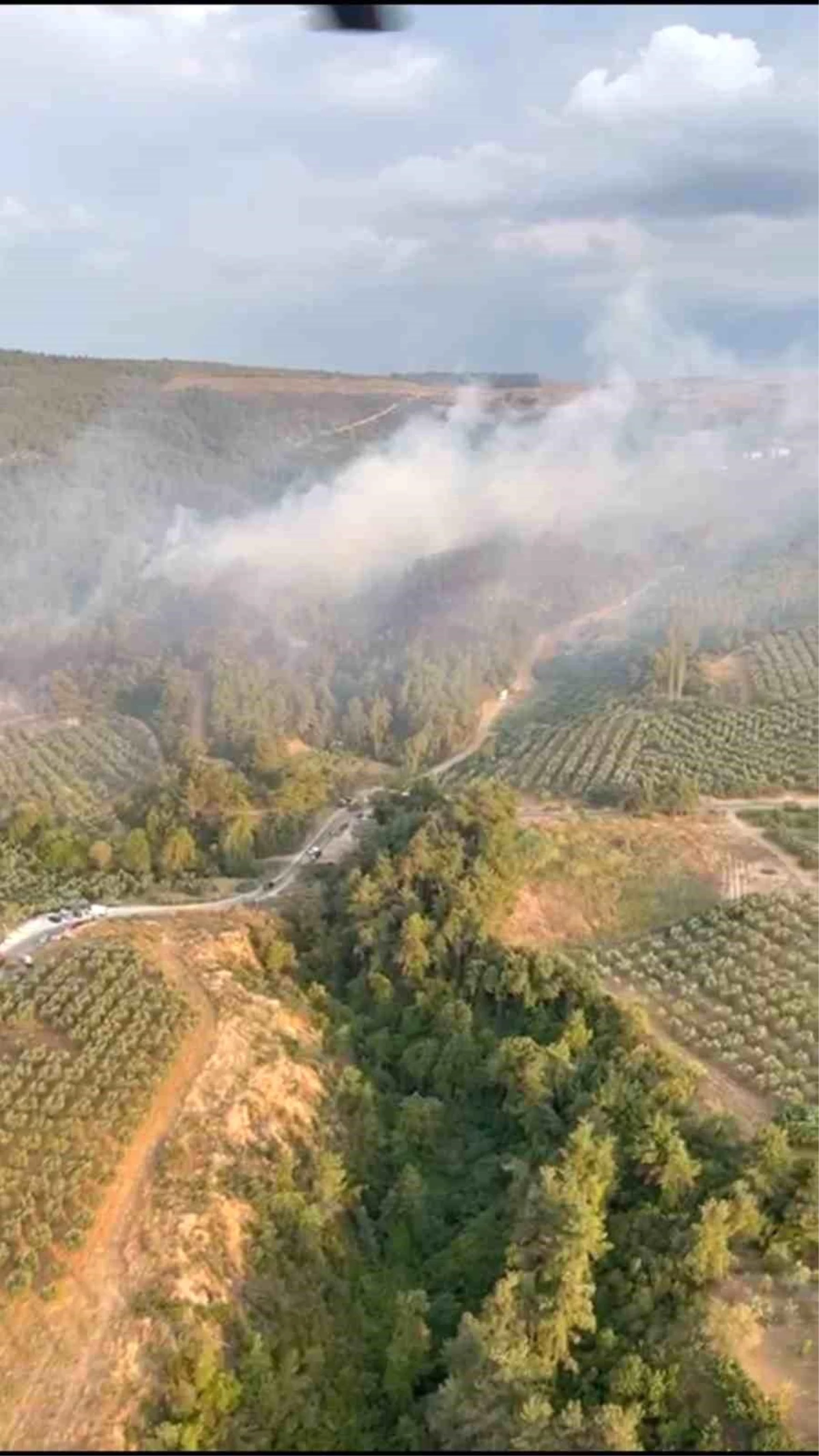 Bursa\'da Ormanlık Alanda Çıkan Yangına Havadan ve Karadan Müdahale Devam Ediyor