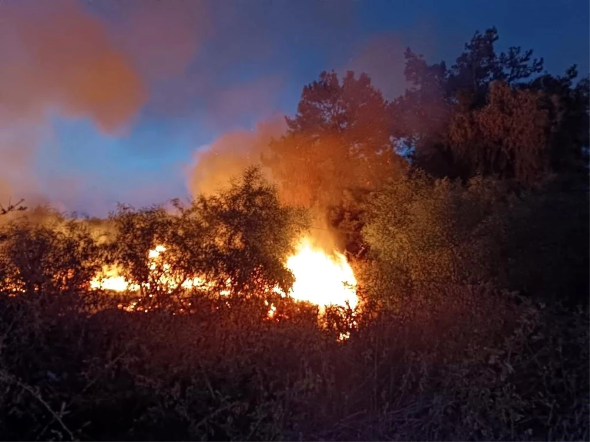 Hatay\'ın Erzin ilçesinde ağaçlık alan yangını söndürüldü