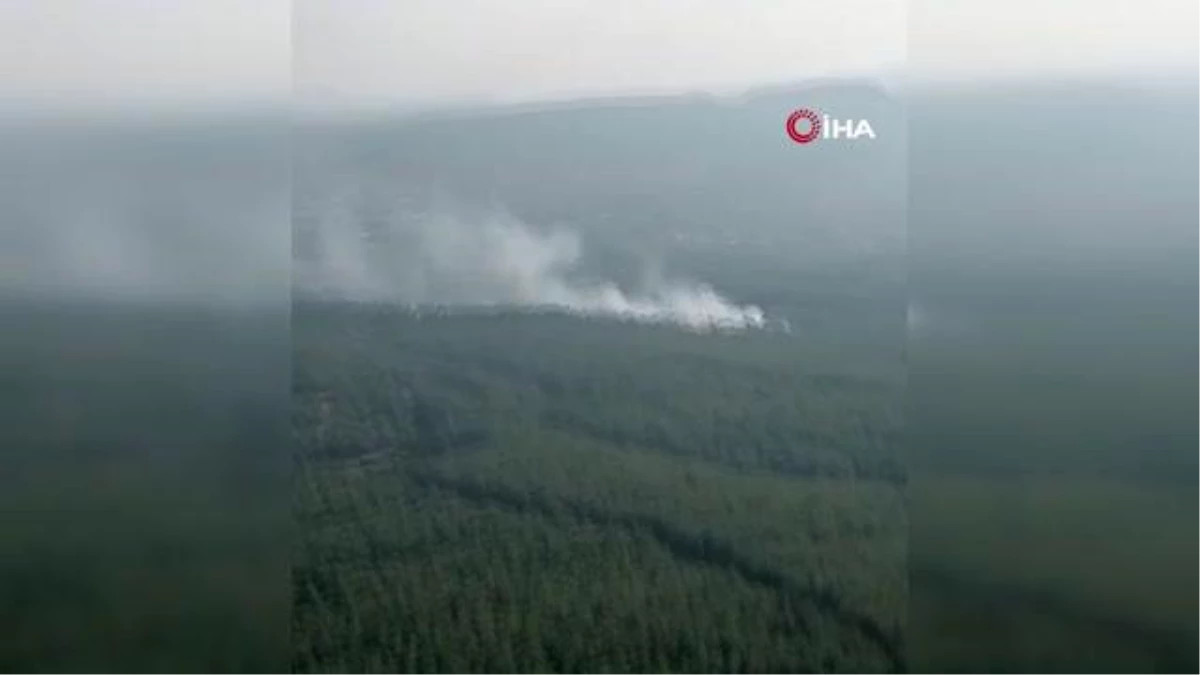 İzmir\'de çıkan orman yangını kontrol altına alındı