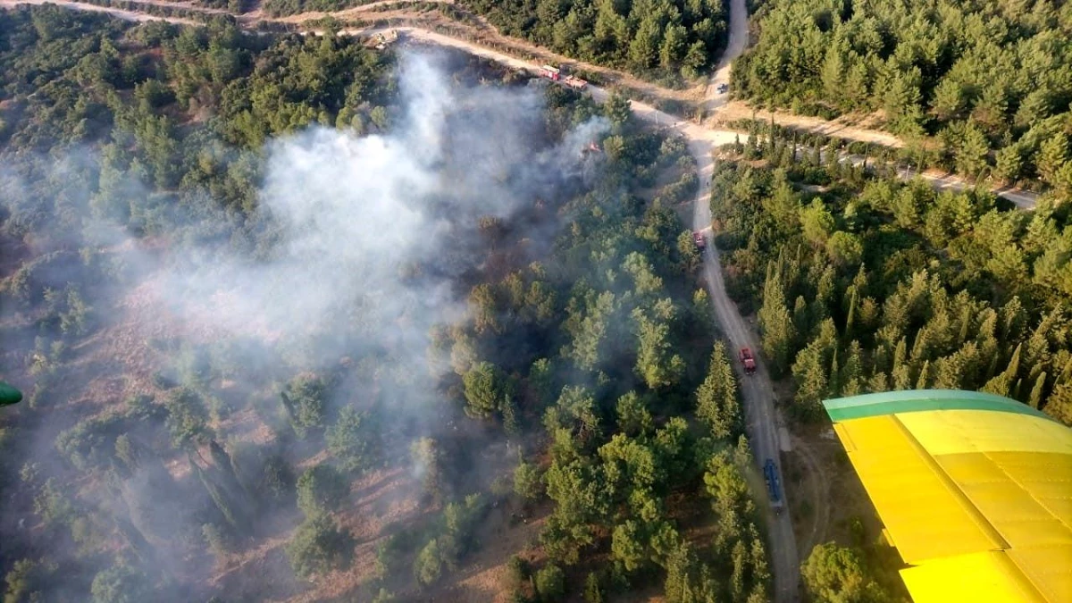 İzmir Gaziemir\'de Orman Yangını