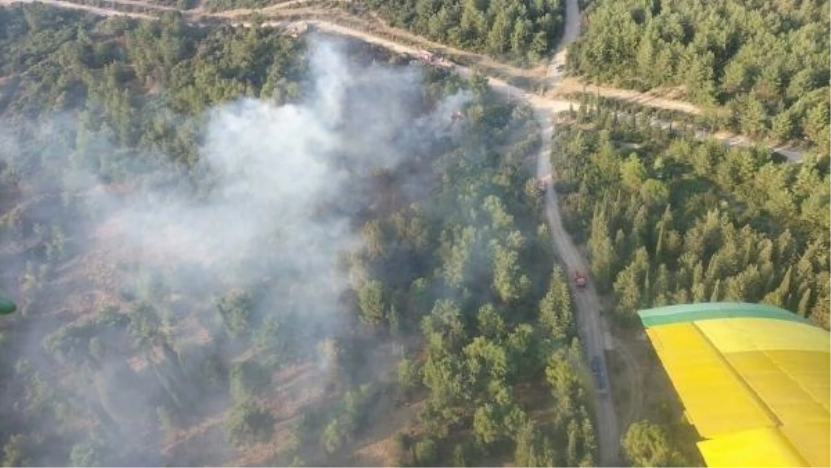 İzmir Gaziemir\'de Ormanda Yangın Çıktı