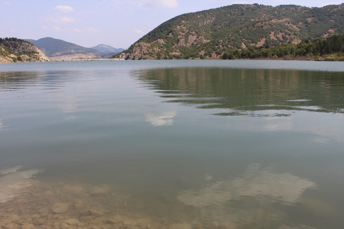 Karabük\'te 30 Bin Sazan Yavrusu Göl ve Göletlere Salındı