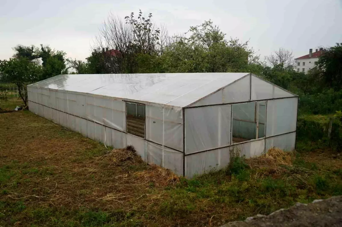 Kastamonu\'da kadınlar bu projelerle gelirlerini arttıracak