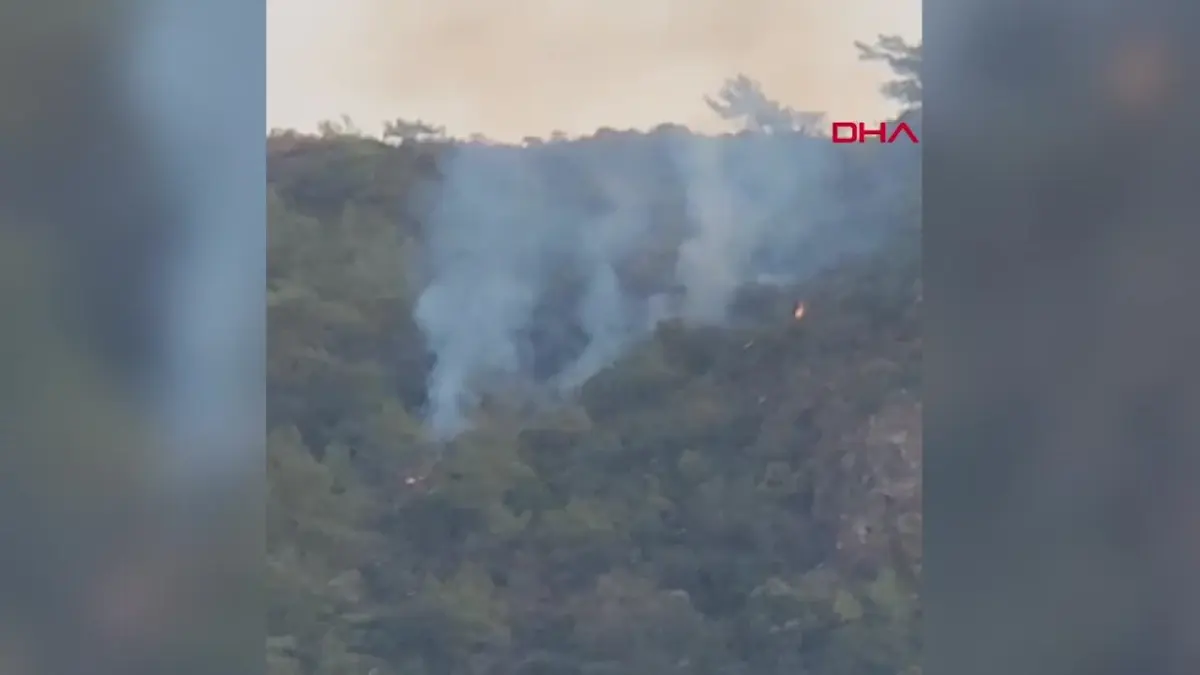 Marmaris\'te Ormanda Yangın Çıktı