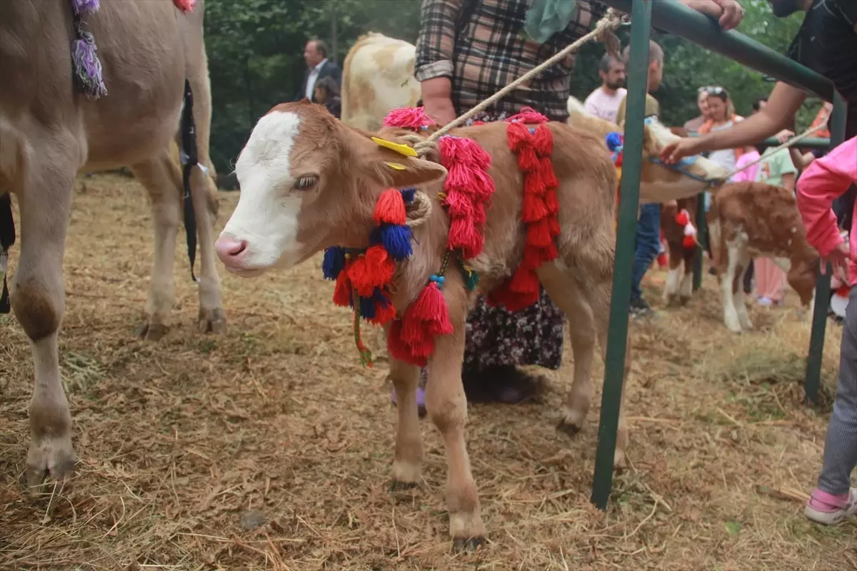 Samsun\'da 3. Nebiyan Doğa ve Gençlik Festivali Başladı