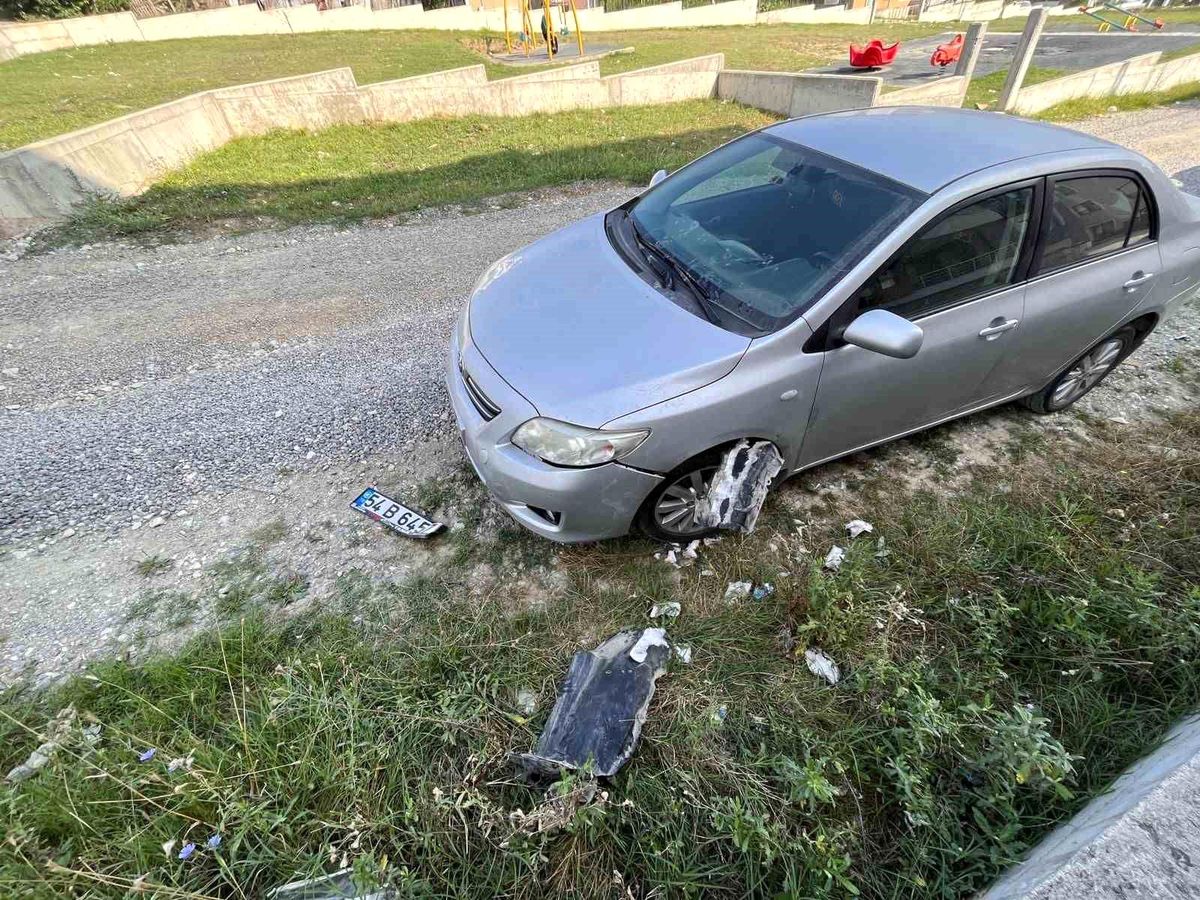 Sakarya\'da park halindeki otomobile sokak köpekleri zarar verdi
