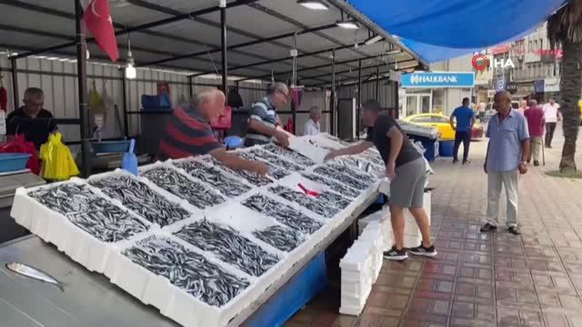 Zonguldak\'ta Hamsi Fiyatları Uygun, Vatandaşlar İlgi Gösterdi