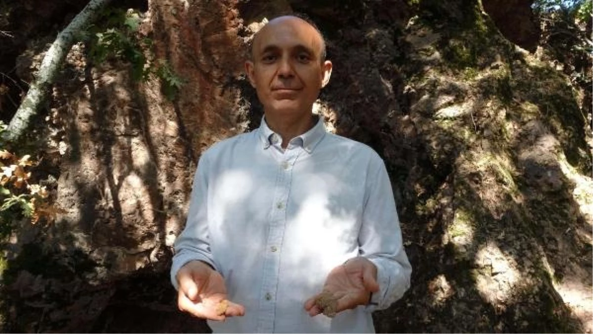 Çanakkale\'deki İnkaya Mağarası\'nda Paleolitik Döneme Ait Alet Uçları Bulundu