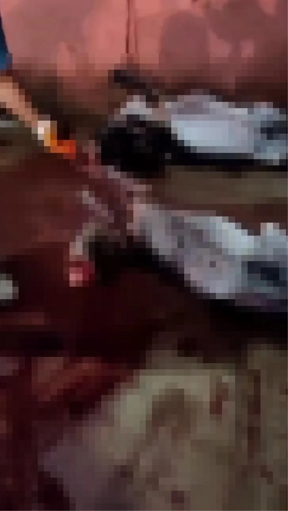 Adanada Kaçak At ve Eşek Kesimi Operasyonu