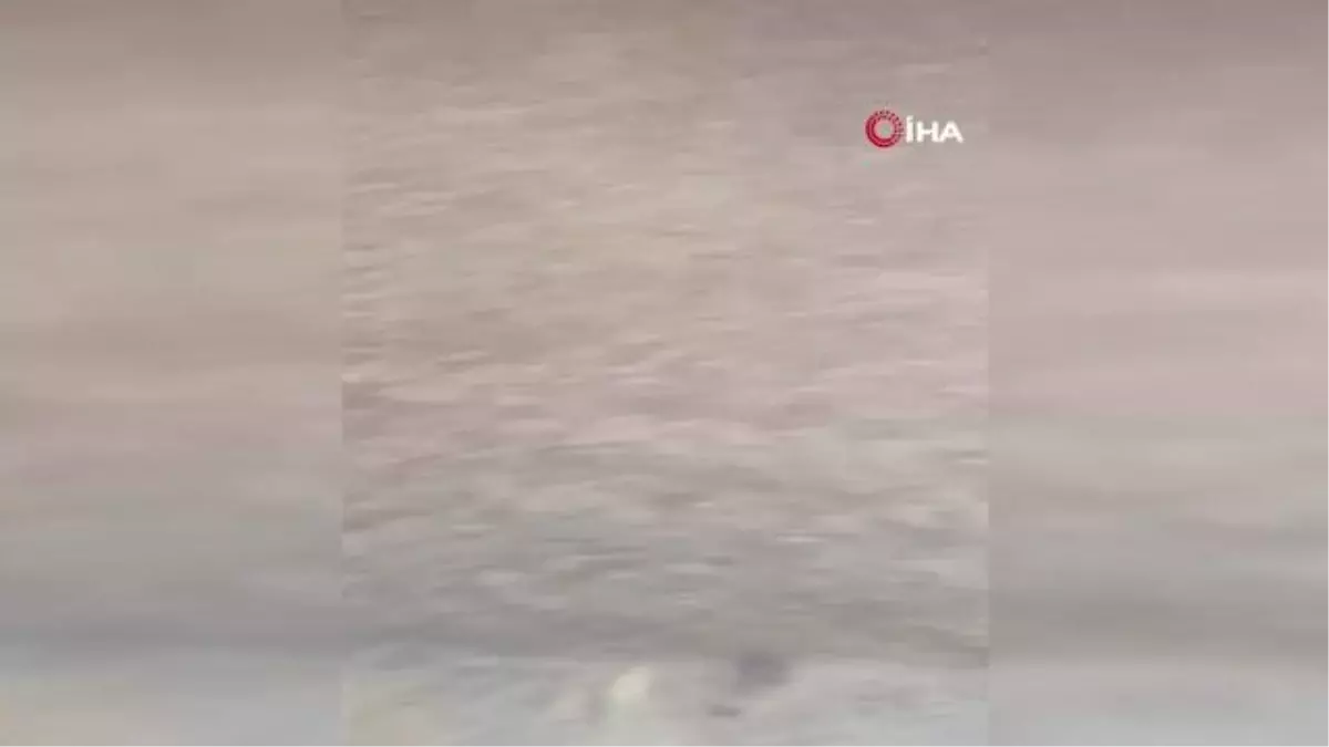 Altyapı sorunu nedeniyle yaşanan yağmur felaketi