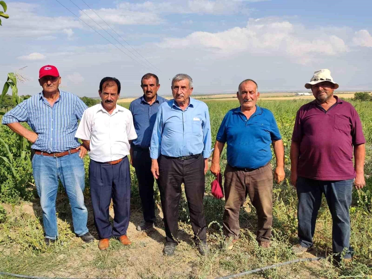 Niğde\'de çiftçiler toplulaştırma projesine tepki gösterdi