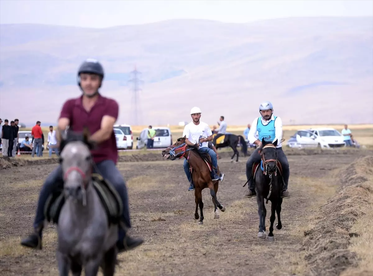 Ardahan\'da Rahvan At Yarışları ve Şampiyonası düzenlendi