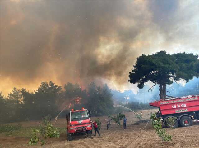 Bursa'da 15 Saattir Devam Eden Orman Yangını Söndürme Çalışmaları Bursa'da 15 Saattir Devam Eden Orman Yangını Söndürme Çalışmaları